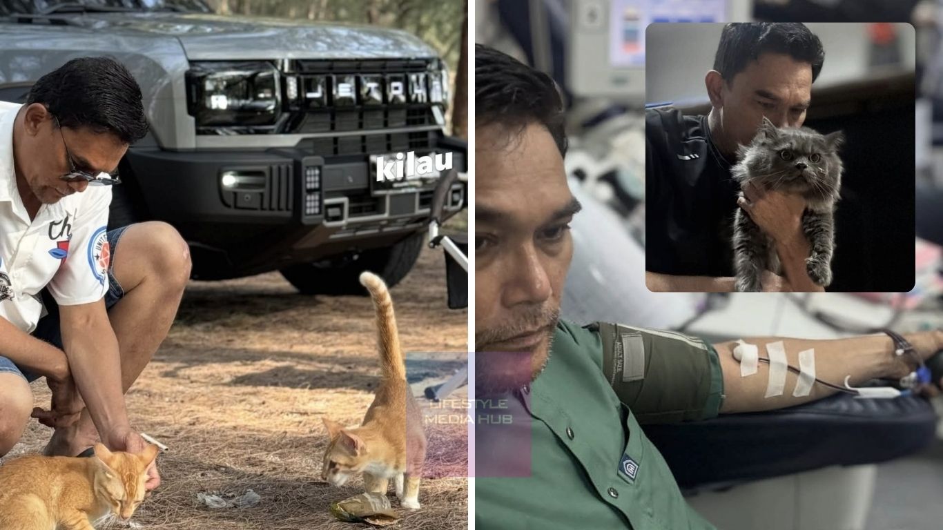 Kilau dah balik, Azhan Rani derma darah, beri kucing jalanan makan. Lega kucing kesayangan pulang ke rumah